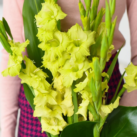 Букет из 7 зеленых гладиолусов