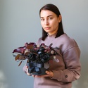 Чорні троянди в коробці "Осіння магія"
