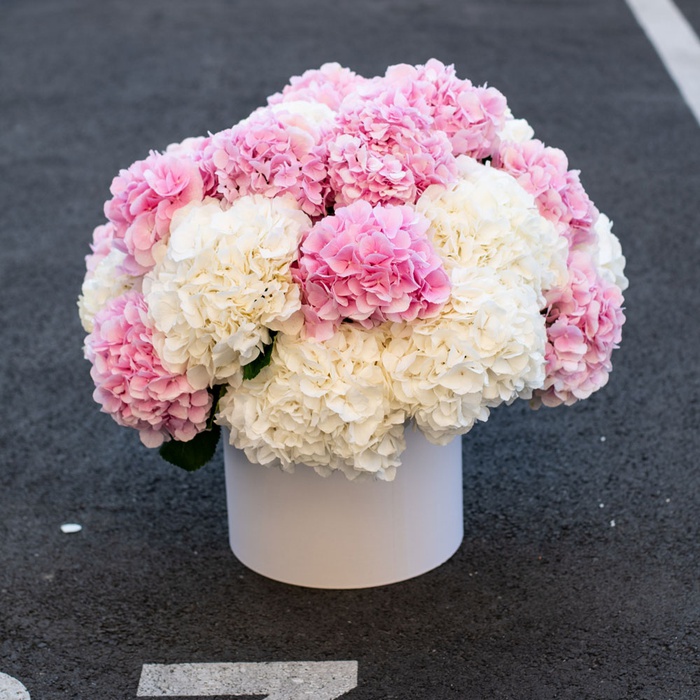 Квіти в коробці "Біло-рожевий захват гортензій"