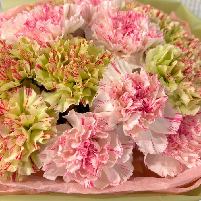 Букет з гвоздик "Серце красуні"