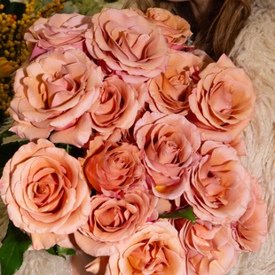 Букет 19 роз Моаб