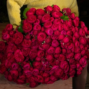 Букет 51 троянда Черрі Трендсеттер