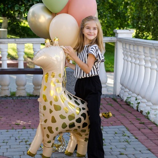 Оберемок повітряних куль "Жирафа"