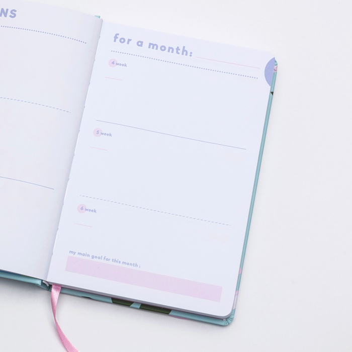 Мини-планер "I have a plan", светло-голубой с пионами