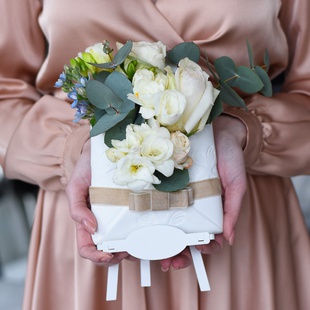 Компліменти