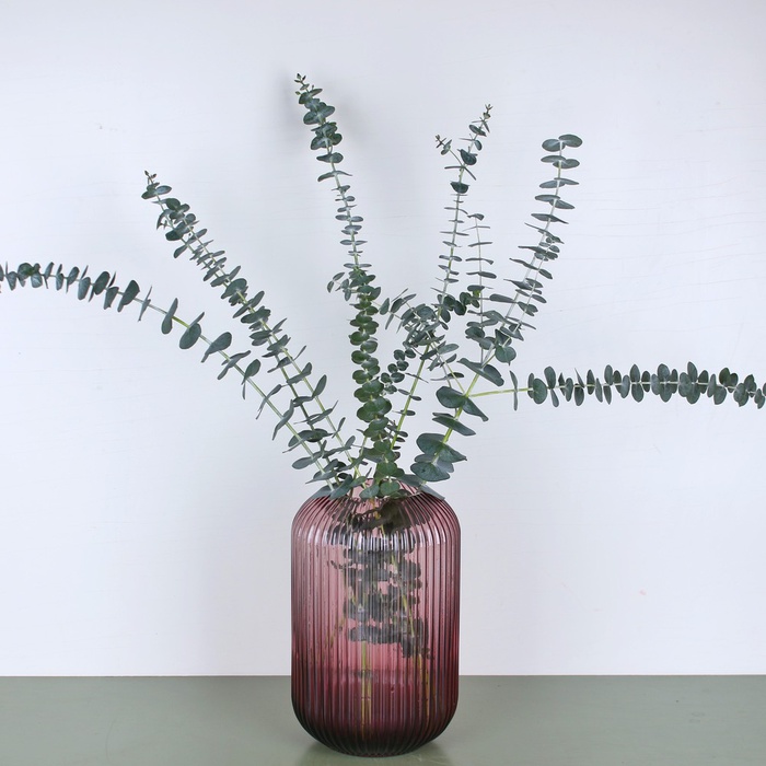 Ваза скляна Tulip dark pink