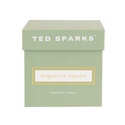 Свічка "Бергамот & Ангеліка" - Ted Sparks
