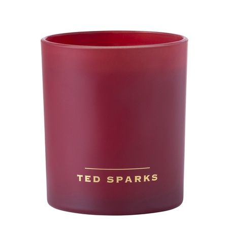 Свічка "Амбра & Дерево" - Ted Sparks