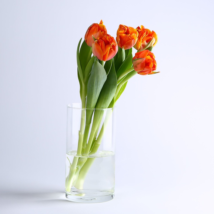 Ваза стеклянная, цилиндр, М