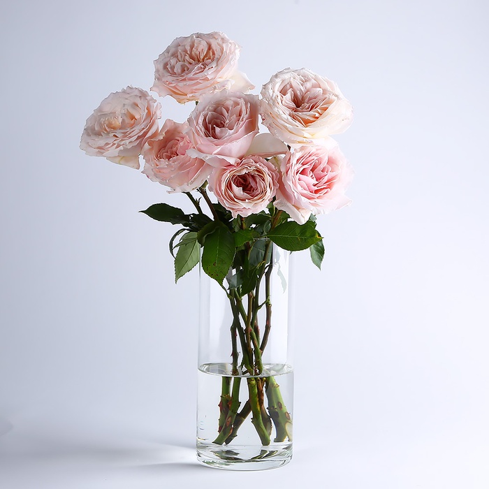 Ваза стеклянная, цилиндр, L