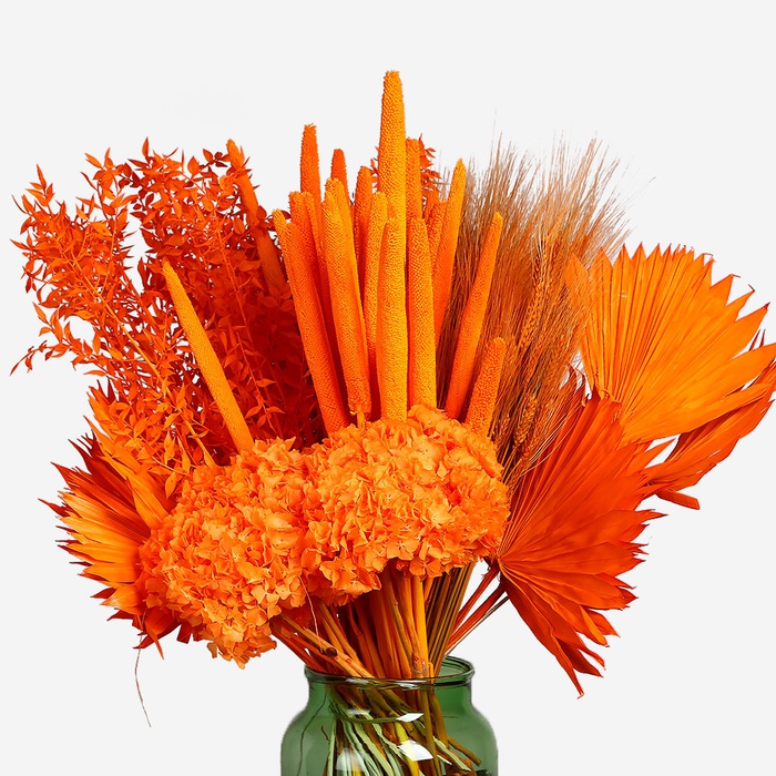 Гортензия стабилизированная оранжевая - 3 шт.