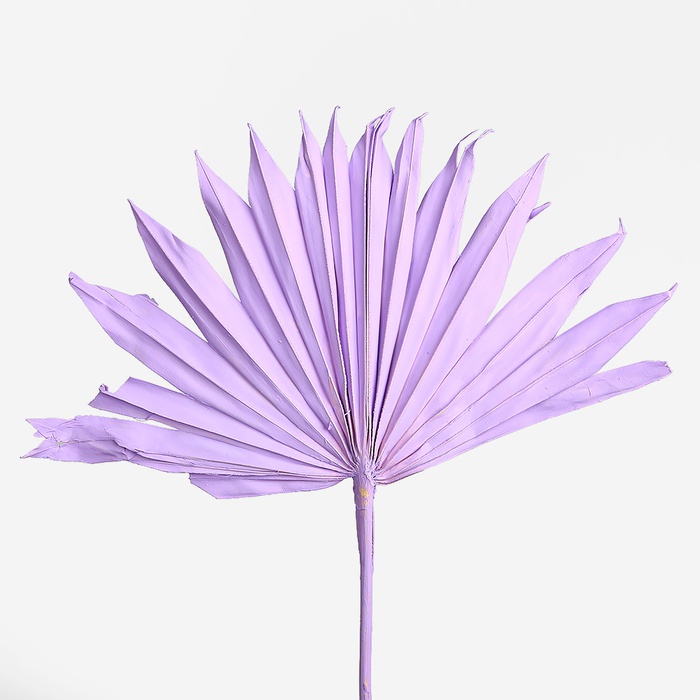 Пальмовое солнце сиреневое