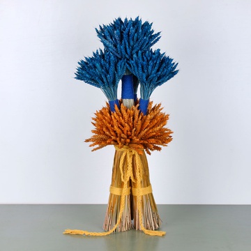 Дидух желто-голубой, L