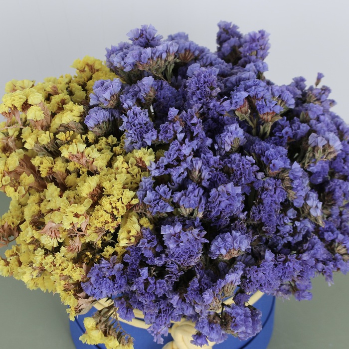 Цветы в коробке "Солнечный магический всплеск"