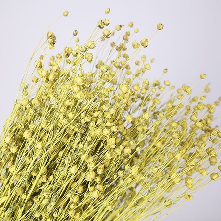 Льон фарбований, жовтий