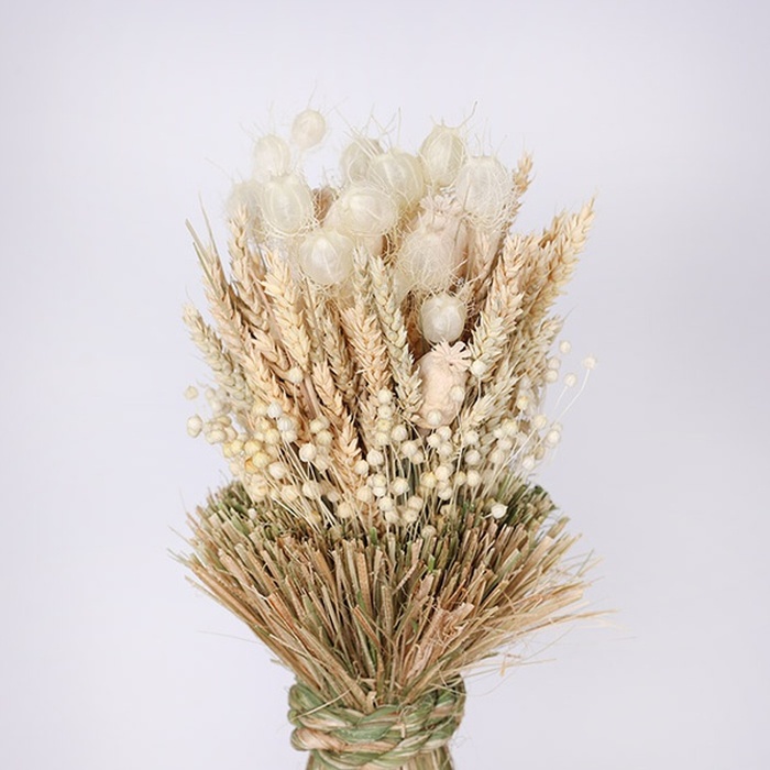 Дідух "Світло родинного дому"