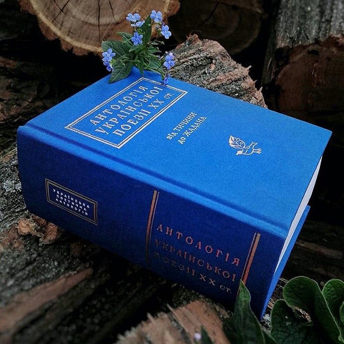 Книга Антология украинской поэзии ХХ века