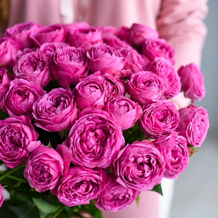 Букет з 15 кущових троянд Місті Бабблз