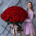 Букет 201 червона троянда Mері Mі, 80 см