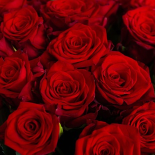 Букет 101 красная роза Mэри Mи, 80 см