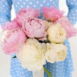 Букет 11 мікс півоній