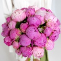 Букет 35 ярко-розовых пионов