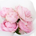 Букет из 5 розовых пионов