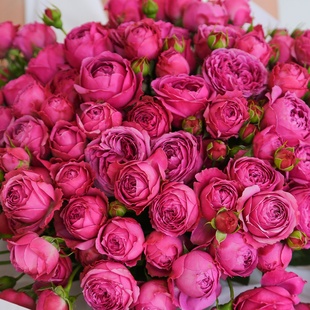 Букет "Мисти Бабблз"