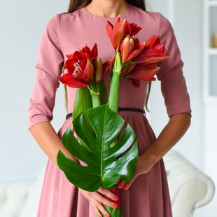Букет з 3 червоних амарилісів