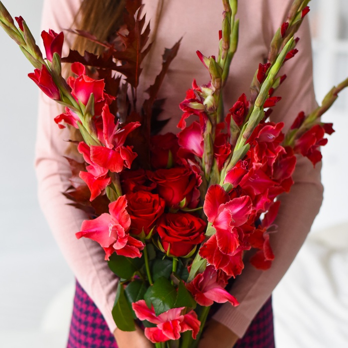 Гладиолус красный