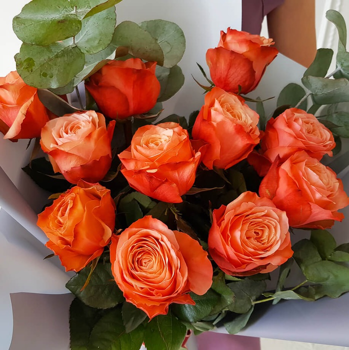 Роза Кахала, 60 см