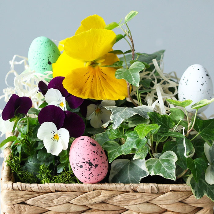 Подарочный набор "Пасхальная композиция с анютиными глазками"