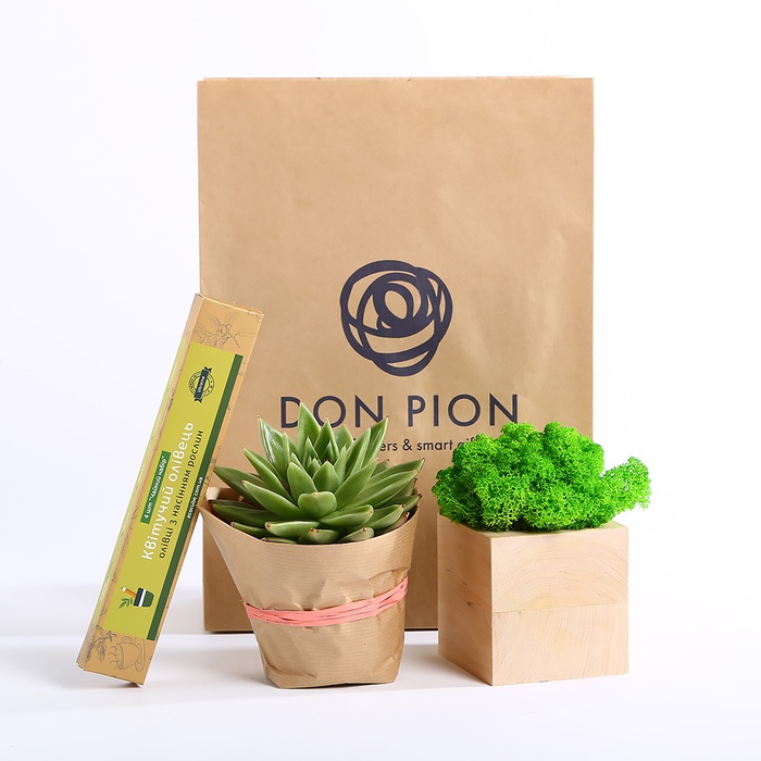 Подарочный набор с растущими карандашами и мхом