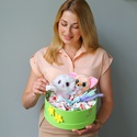 Подарочный набор "Мягкие игрушки и сладости"
