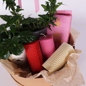 Подарунковий набір з рослинами та свічками "Теплий презент"