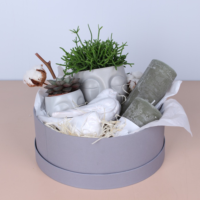 Подарочный набор с растениями и свечами "Для гармонии"