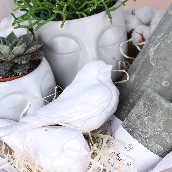 Подарочный набор с растениями и свечами "Для гармонии"