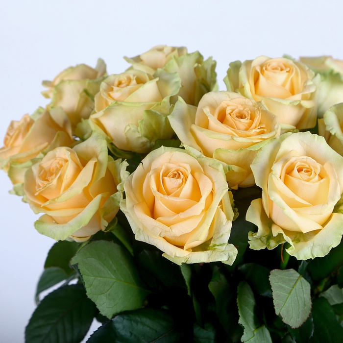 Подарочный набор с розами, вазой и свечой "Персиковое Увлечение"