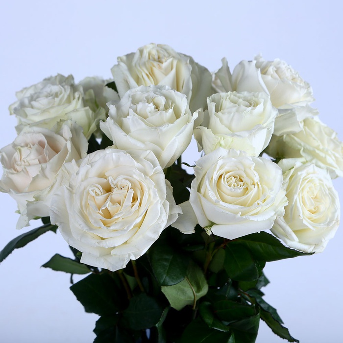 Подарочный набор с розами, вазой и свечой "Плая"