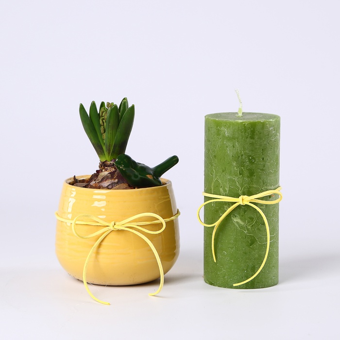 Подарунковий набір "Живий мінімалізм"