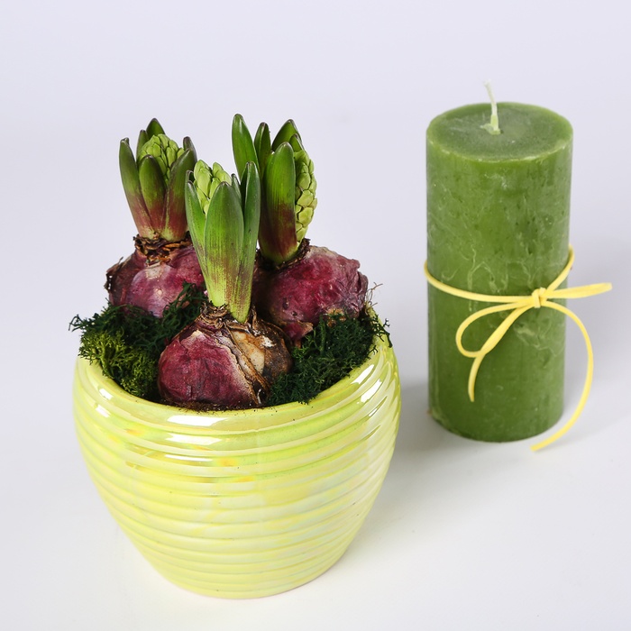 Подарунковий набір "Світло гіацинта"