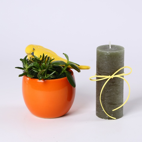 Подарунковий набір "Крила затишку"