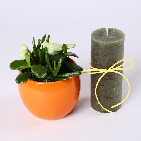 Подарунковий набір "Пташки щастя"