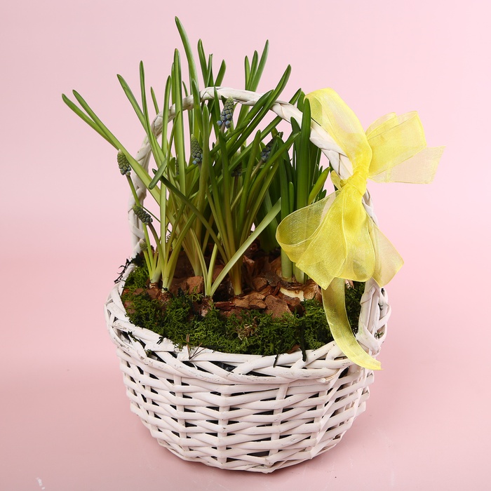 Квіти у кошику "Лісова галявина"