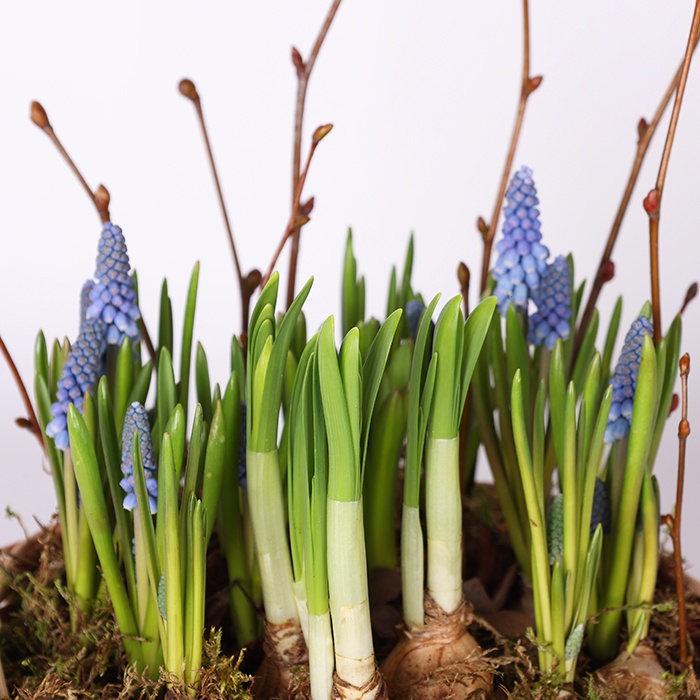 Цветы в корзине "Лесная поляна"