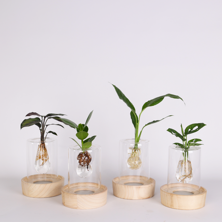 Композиція мікс "Натхнення природи"