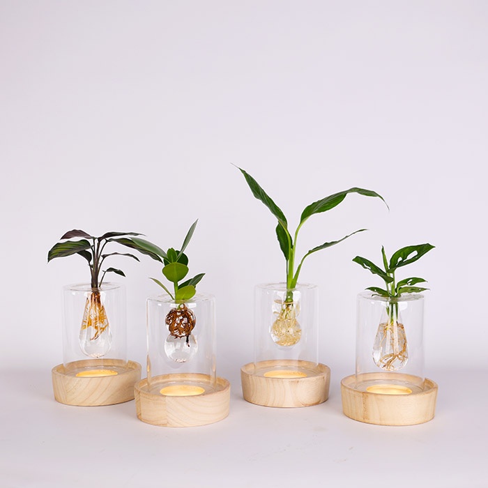 Композиція мікс "Натхнення природи"