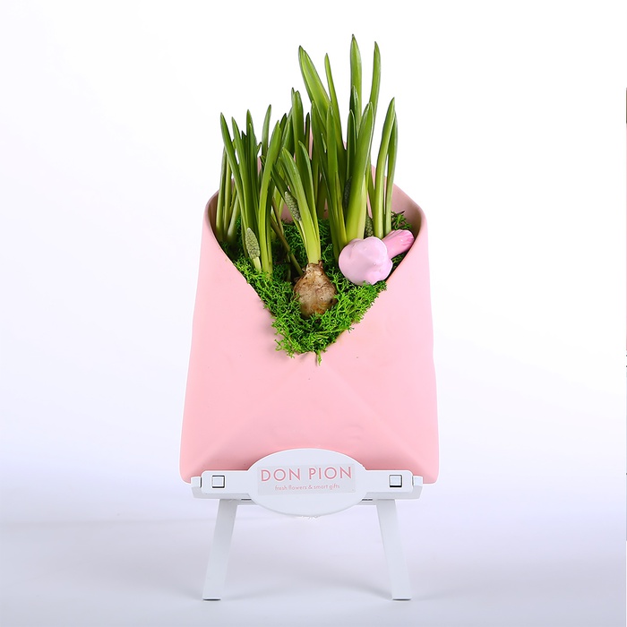 Сезонные цветы в конверте