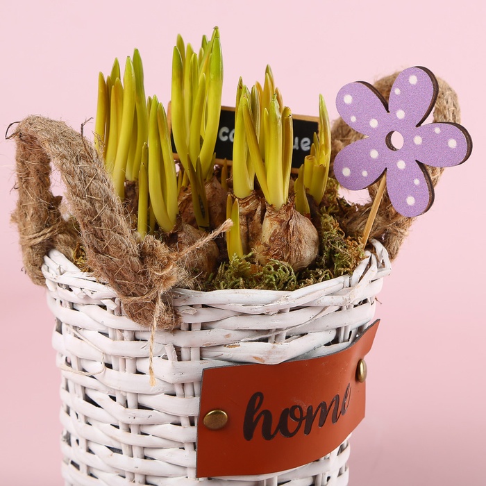 Мускарі у кошику