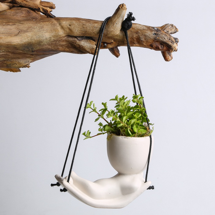 Микс растения в кашпо